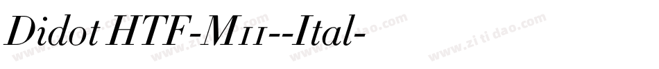 Didot HTF-M11--Ital字体转换